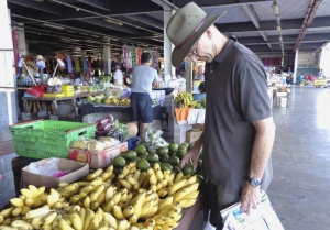 FAO helps farmers to supply consistently safe and quality food